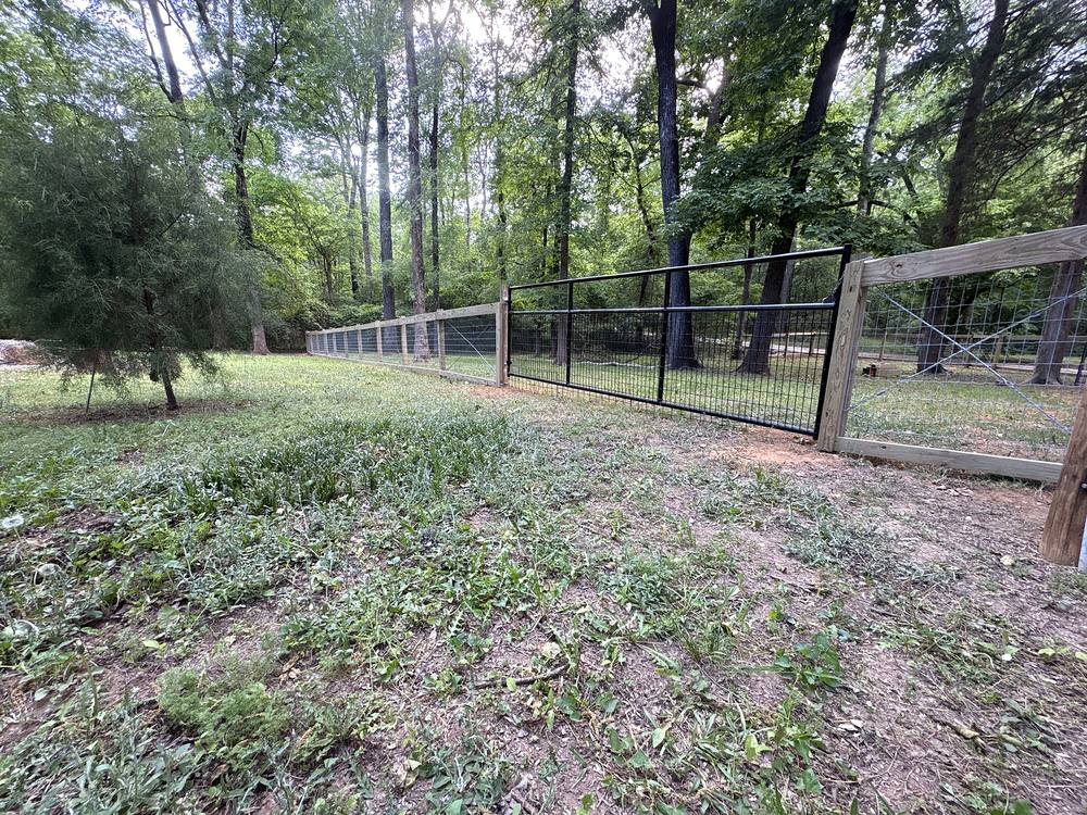 Long run of wood and wire farm fence with a black gate across a grassy yard in the Midlands of South Carolina